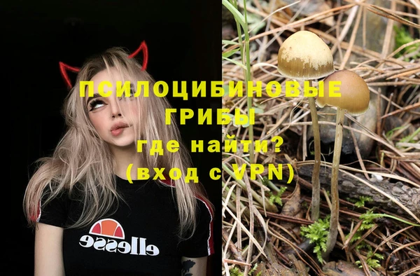 соль курить ск Арсеньев